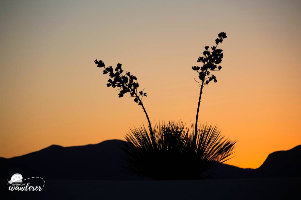 Take a sunset stroll when you visit White Sands National Monument