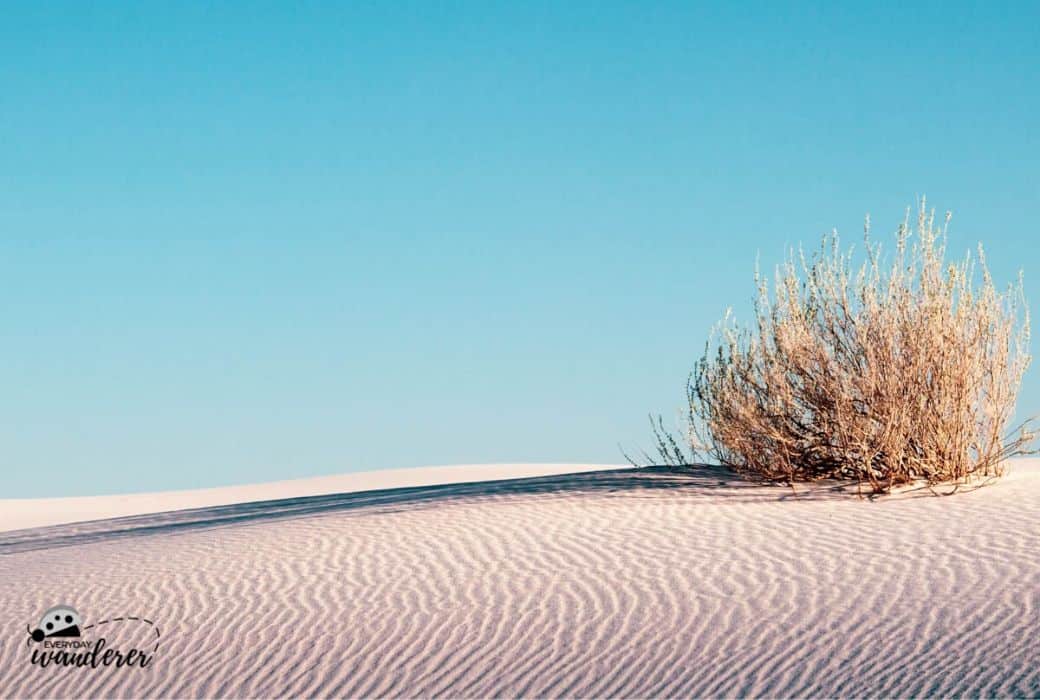 Ripples in the White Sands at White Sands National Park in New Mexico