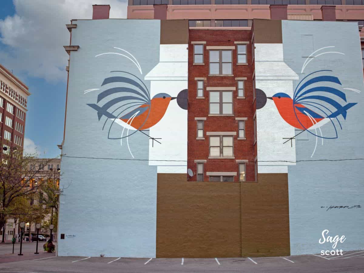 Homecoming mural featuring two blue birds