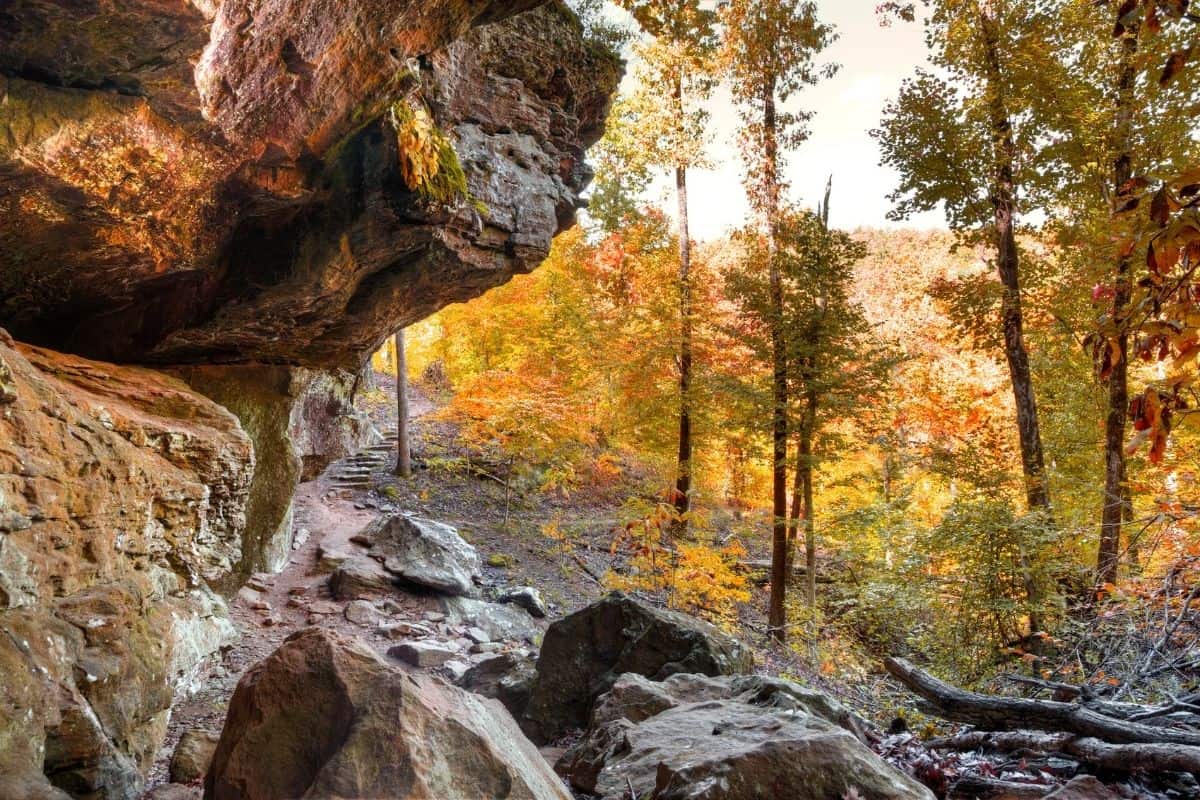 Hiking trail in Arkansas in fall