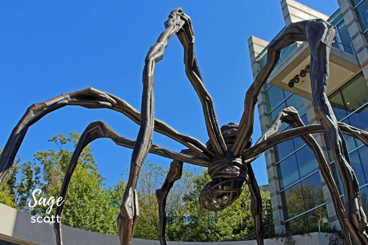 Maman, the giant spider sculpture, outside Crystal Bridges