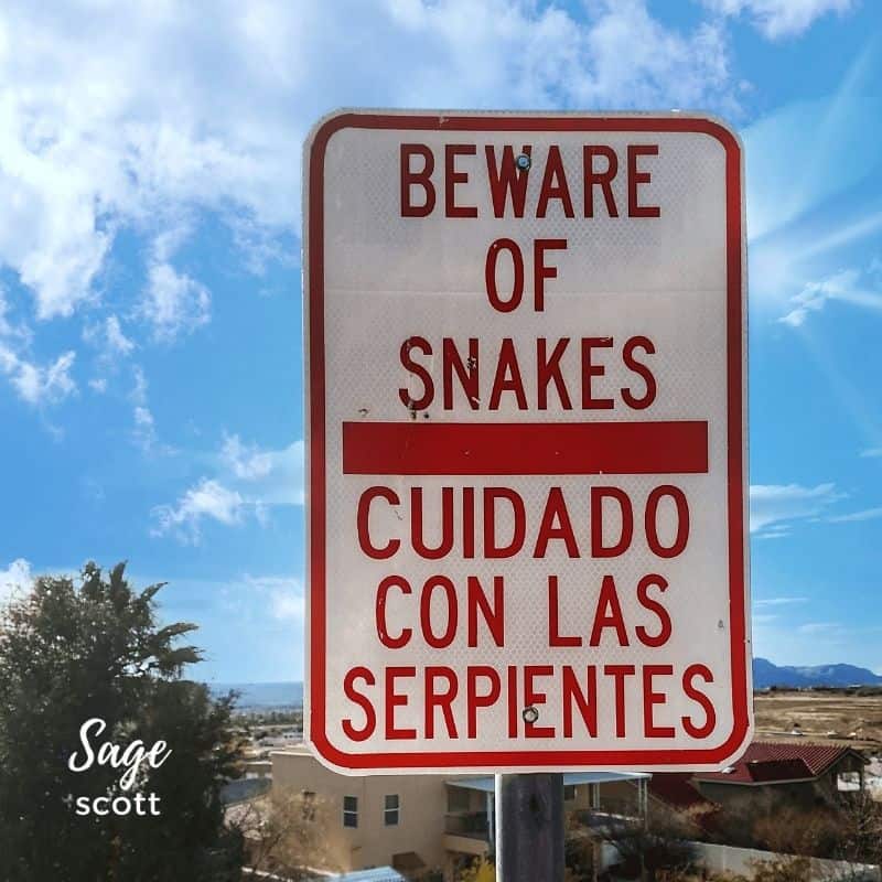 Beware of Snakes sign in Las Cruces NM