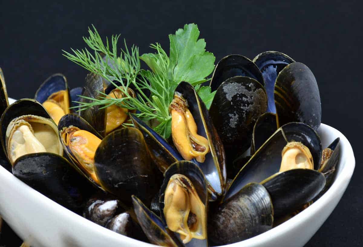 Steamed mussels are a common French food in Normandy