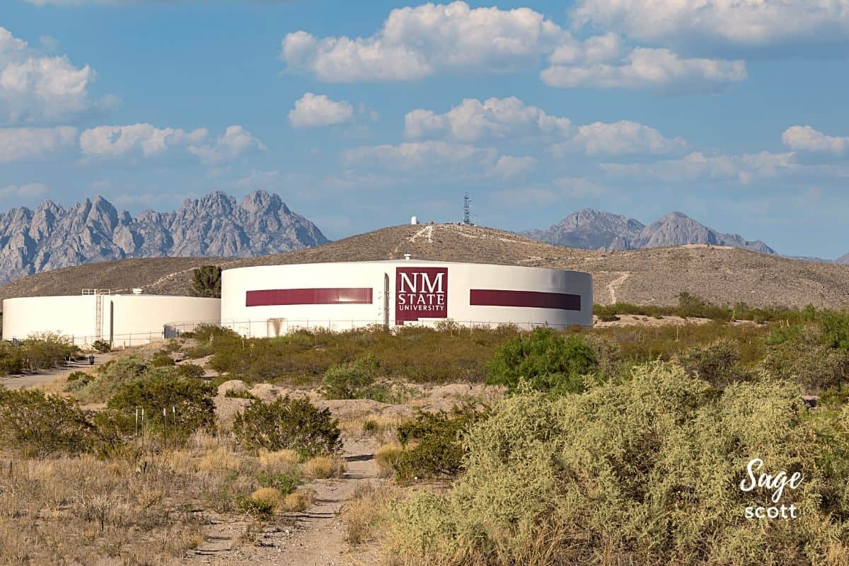 Water tank painted the colors of New Mexico State University