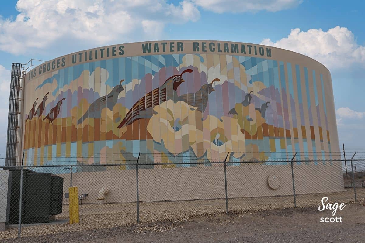 A family of Gamble's quails run on this water tank mural