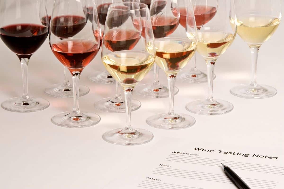 Rows of wine glasses and paper for taking notes