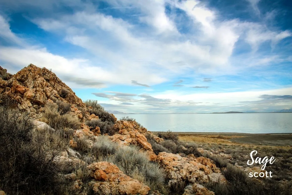 View from Lady Finger Trail at Antelope Island in Salt Lake City