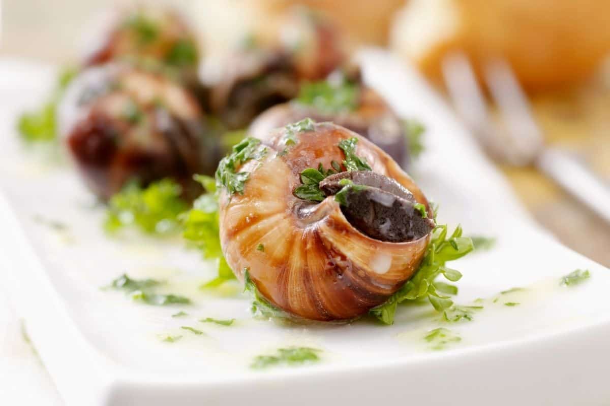 A plate of escargots topped with fresh herbs