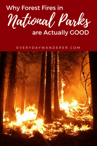 Forest Fire | Forest Fire Photography | Forest Fires | Forest Fires Aftermath | National Parks | National Parks United States | National Parks Road Trip #forestfire #forestfires #nationalparks