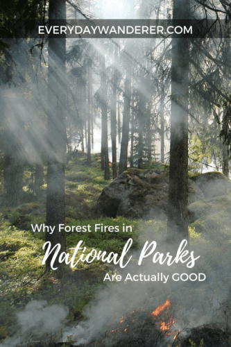 Forest Fire | Forest Fire Photography | Forest Fires | Forest Fires Aftermath | National Parks | National Parks United States | National Parks Road Trip #forestfire #forestfires #nationalparks