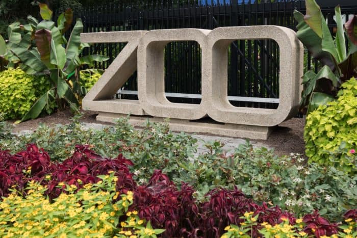 9 Fun Facts about the Smithsonian's National Zoo