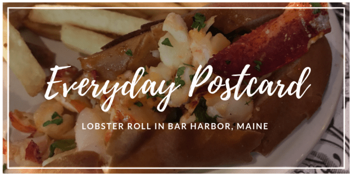 Everyday Postcard of a Lobster Roll in Bar Harbor, Maine
