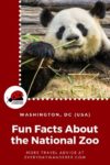 Fun facts about the National Zoo in Washington DC. Part of the Smithsonian Museum, the Smithsonian Zoo in Washington DC is one of the most popular things to do in Washington DC with Kids. From how is began to its most popular residents (like Smokey Bear and giant pandas), these zoo facts and zoo fun facts may surprise you. #WashingtonDC #DC #US #USA #USTravel