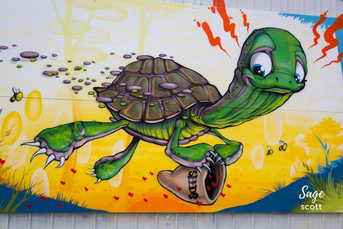 Turtle Sowing Seeds of Love in Abilene KS Mural