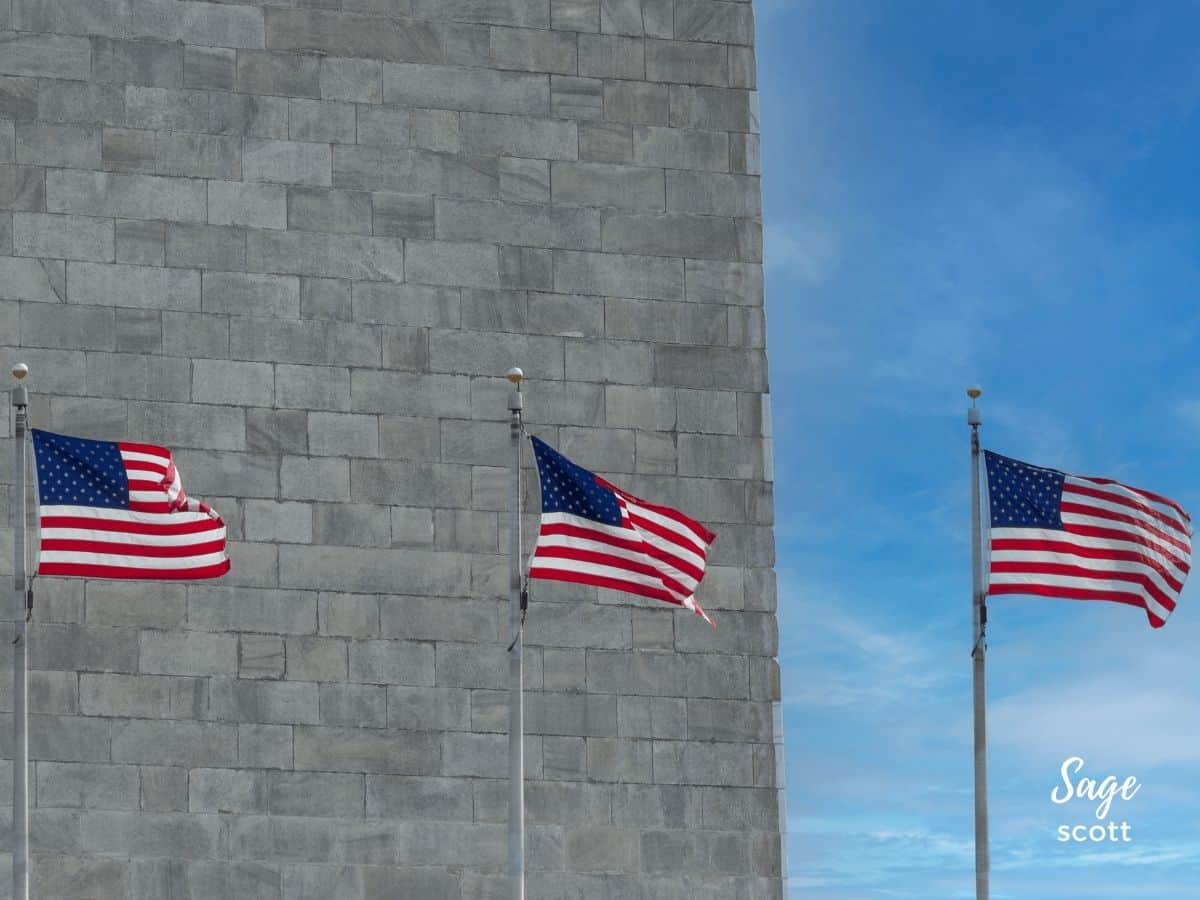 American Flags Around the Washington Monument in Washington D.C.
