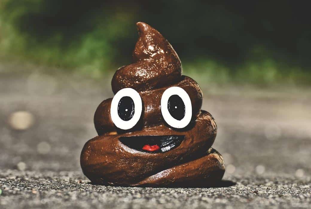 A comical pile of poop with eyes and a smile