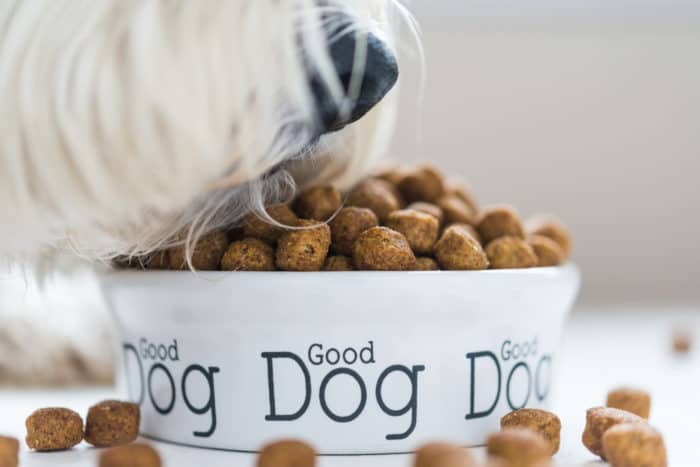 Dog eating kibble from "Good Dog" bowl