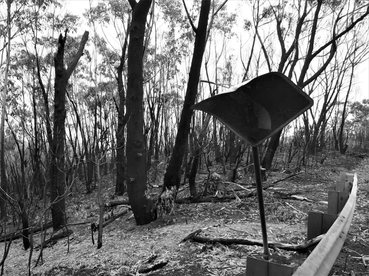 Burnt Sign after the Gospers Mountain Bushfire in Australia - Photo by Holly Kent