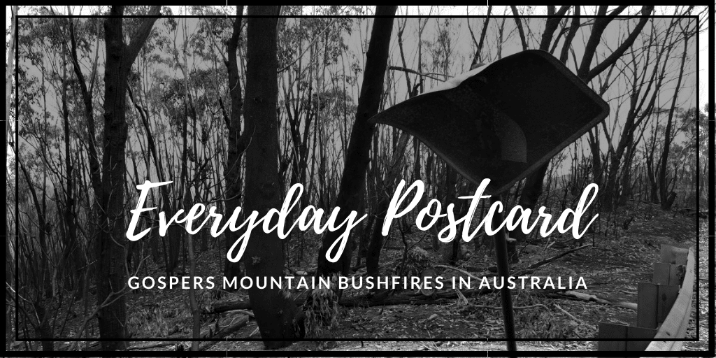 Everyday Postcard from Gospers Mountain Bushfires in Austrralia