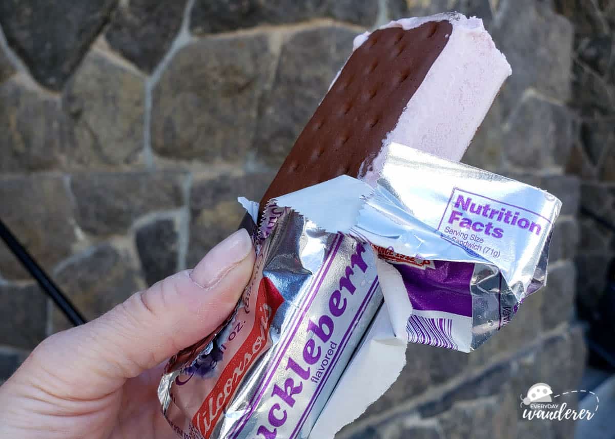 Huckleberry ice cream sandwich in Montana