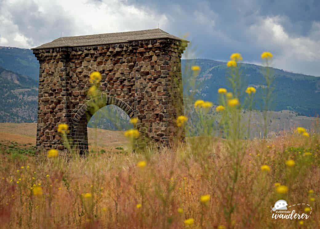 Watch for mule deer, white-tailed deer, and pronghorns near the Roosevelt Arch at Yellowstone National Park