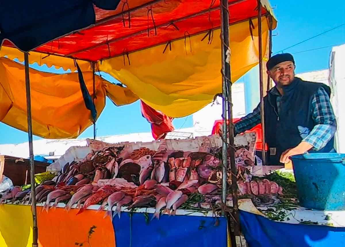A fishmonger selling fresh fish at the Essaouira port