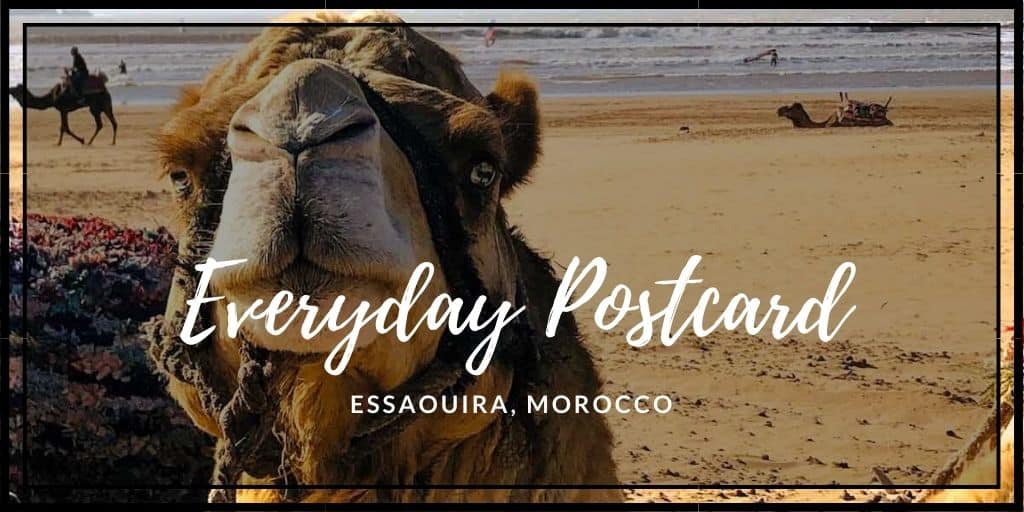 Everyday Postcard from Essaouira, Morocco