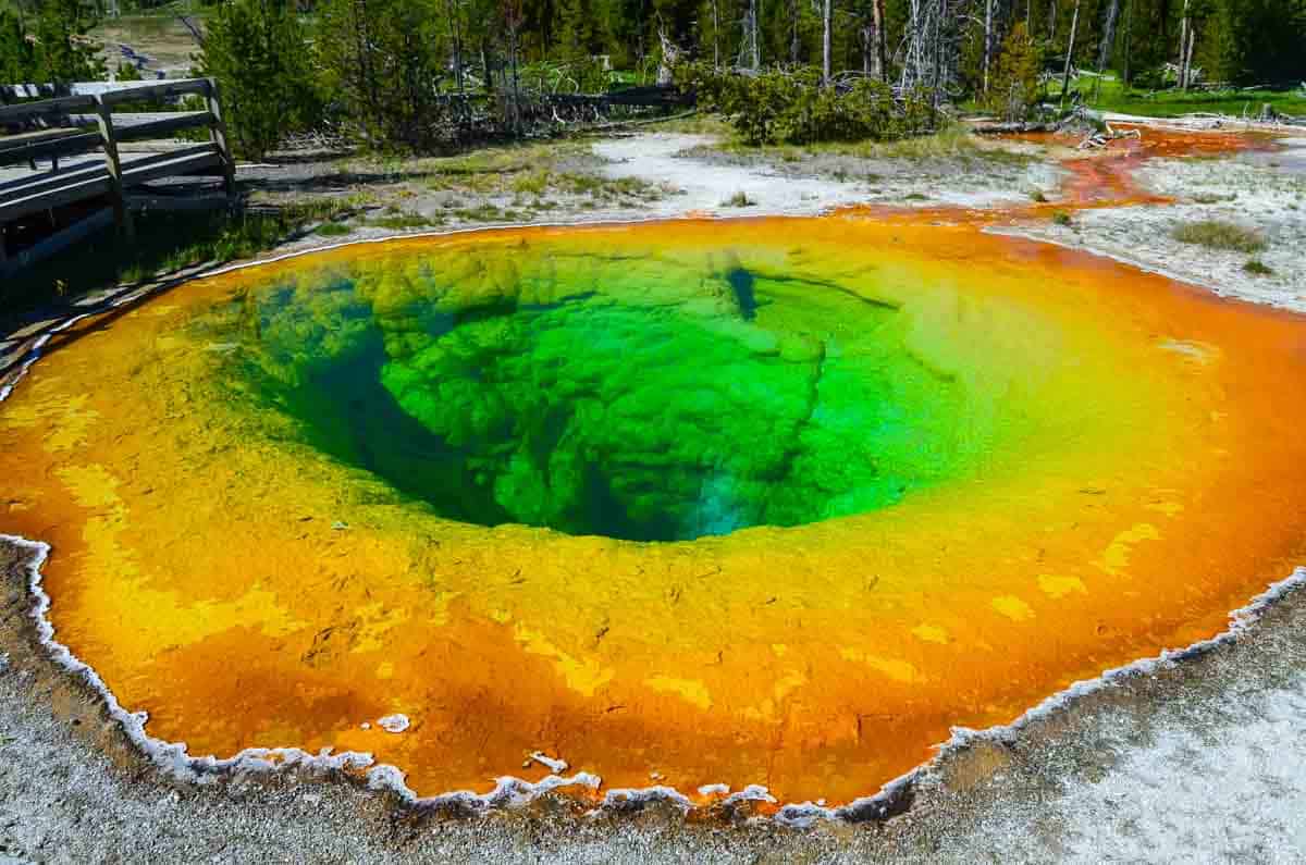 Morning Glory Pool is a hot spring in Yellowstone's Upper Geyser Basin.