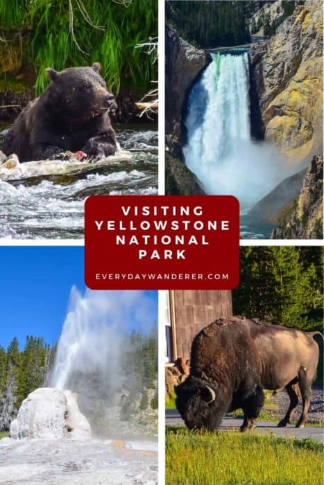 The best things to do in Yellowstone National Park. Yellowstone National Park is America's first national park. Don't miss Old Faithful, one of the Yellowstone geysers and hot springs. Yellowstone wildlife includes bear, bison, deer, elk, and eagles. #wyoming #montana #idaho #us #usa #travel