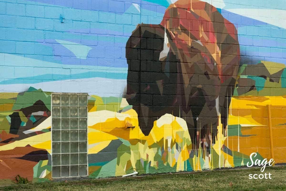 Bison Mural in Tulsa