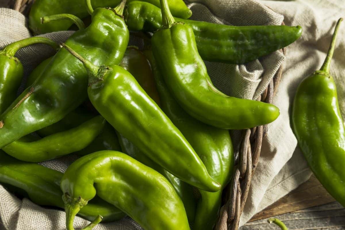 A basket of New Mexican green chiles