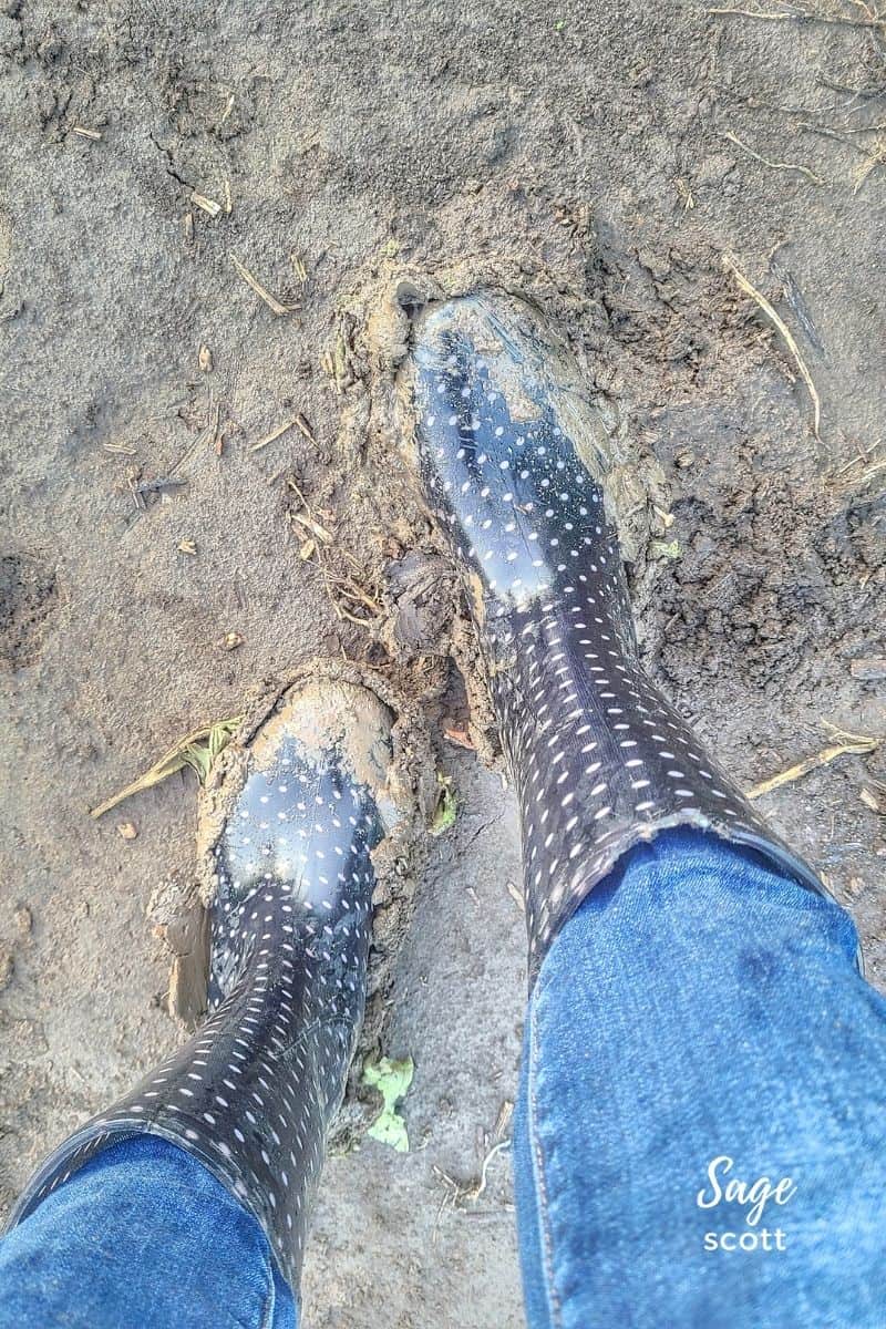Rubber boots in a muddy field
