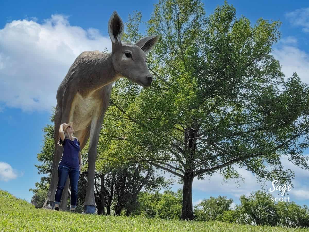 Sage with Deer at Laumeier Sculpture Park