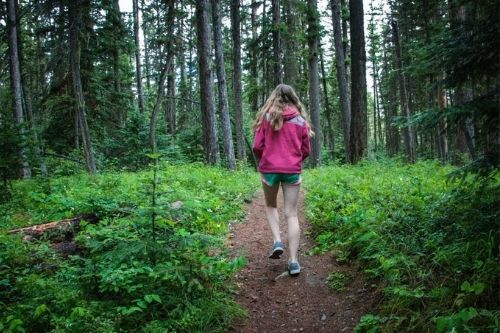 Girl hiking through a forest in northwest Montana