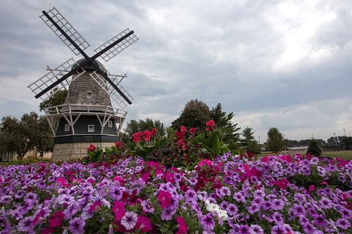 Windmill in Pella Iowa surrounded by flowers
