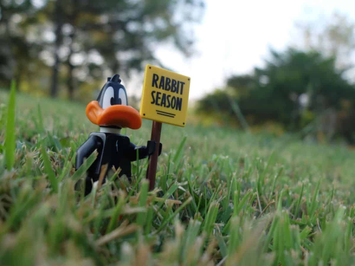 Daffy Duck toy in field holding "rabbit season" sign