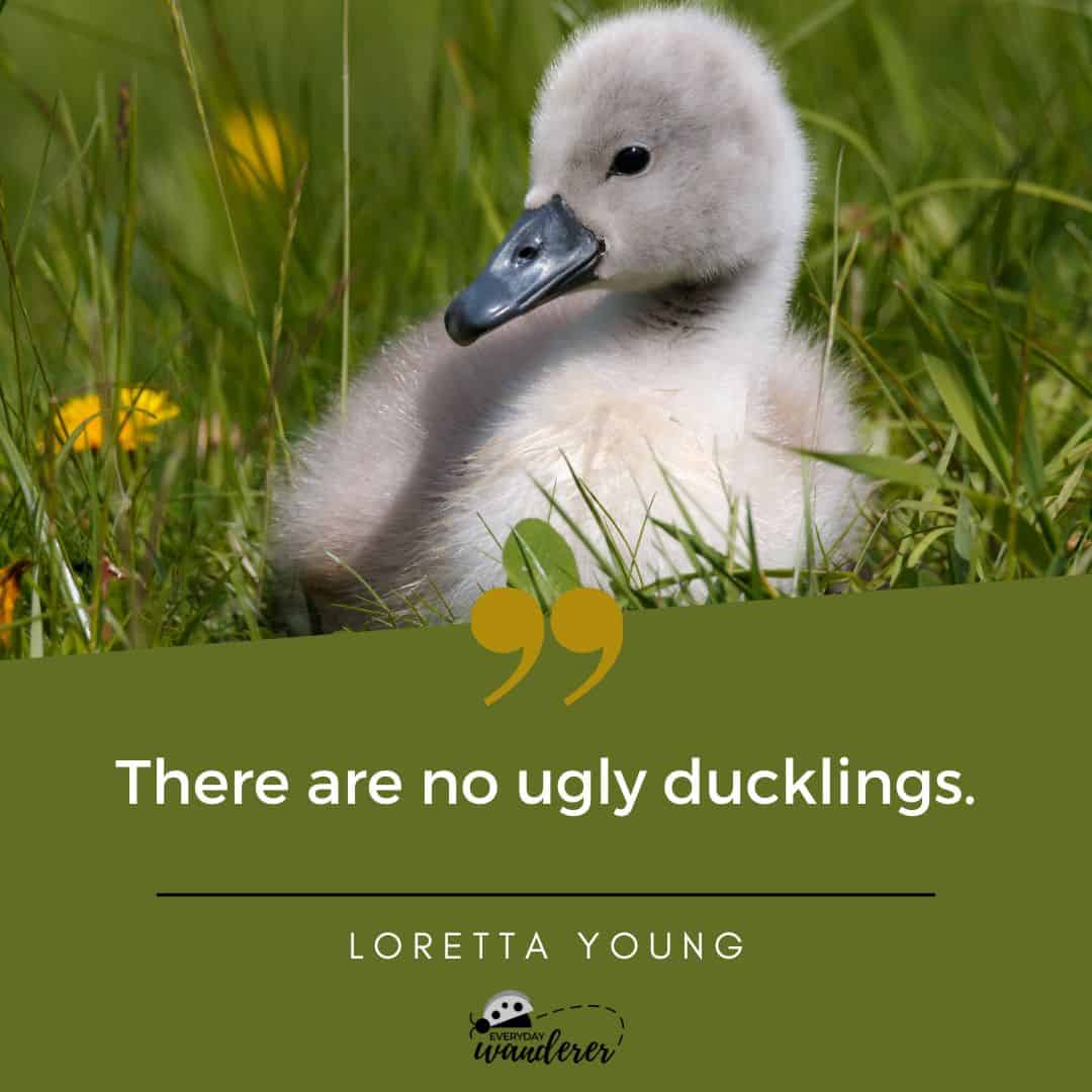 There are no ugly ducklings.