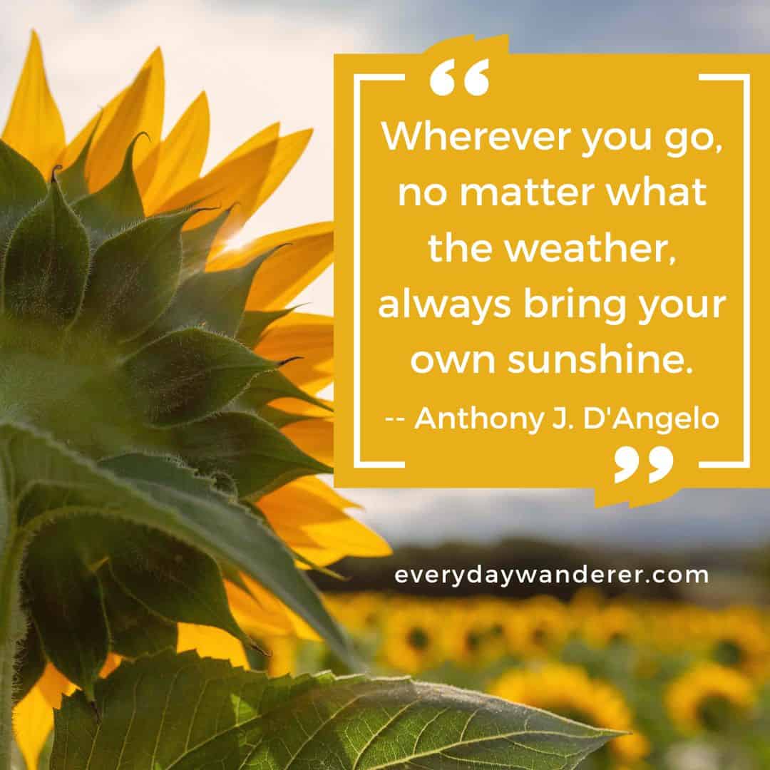 Always bring your own sunshine quote