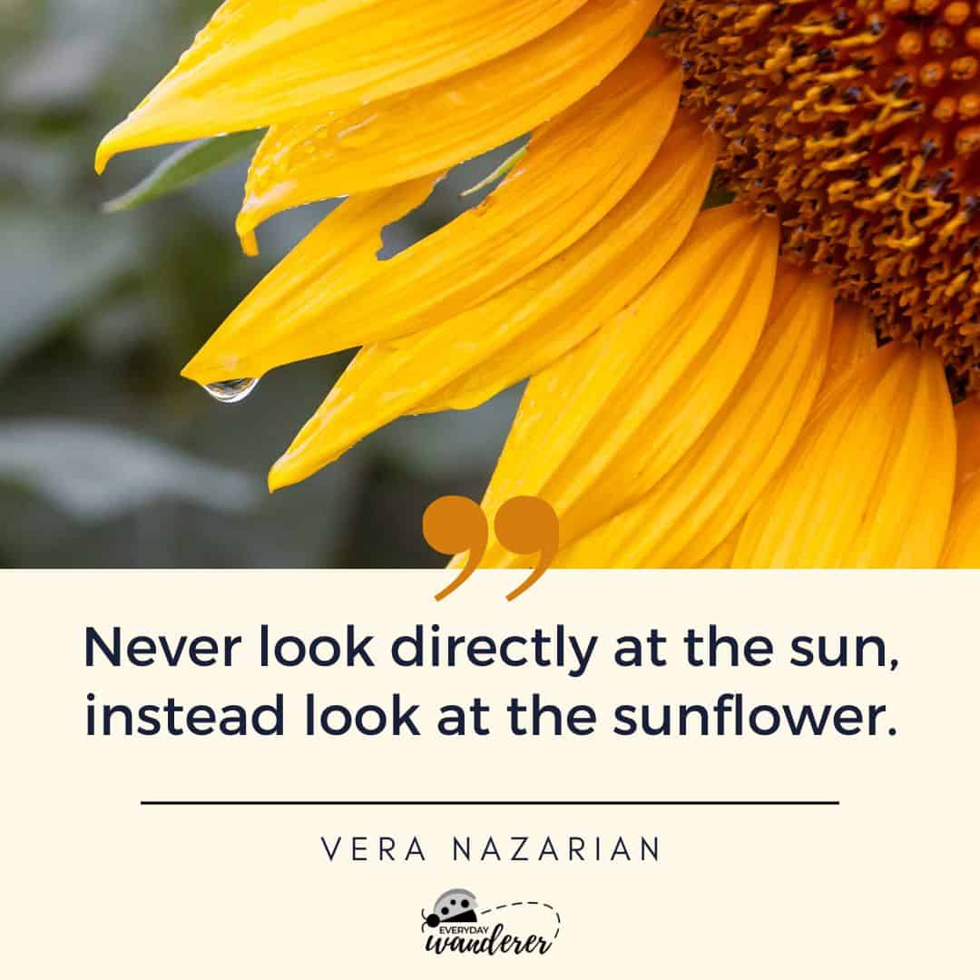 100 Sunflower Quotes To Brighten Your Day 4666