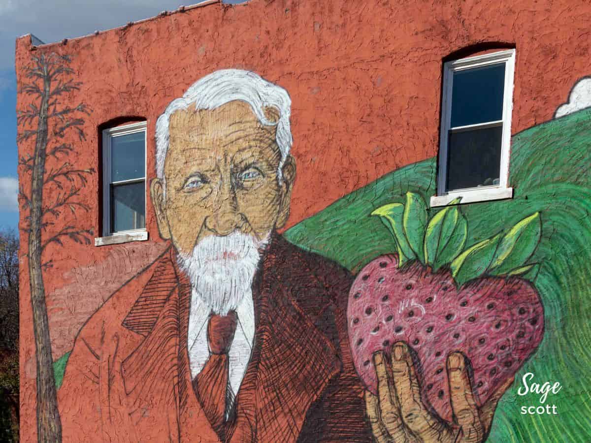 Strawberry Hill Mural in KCK