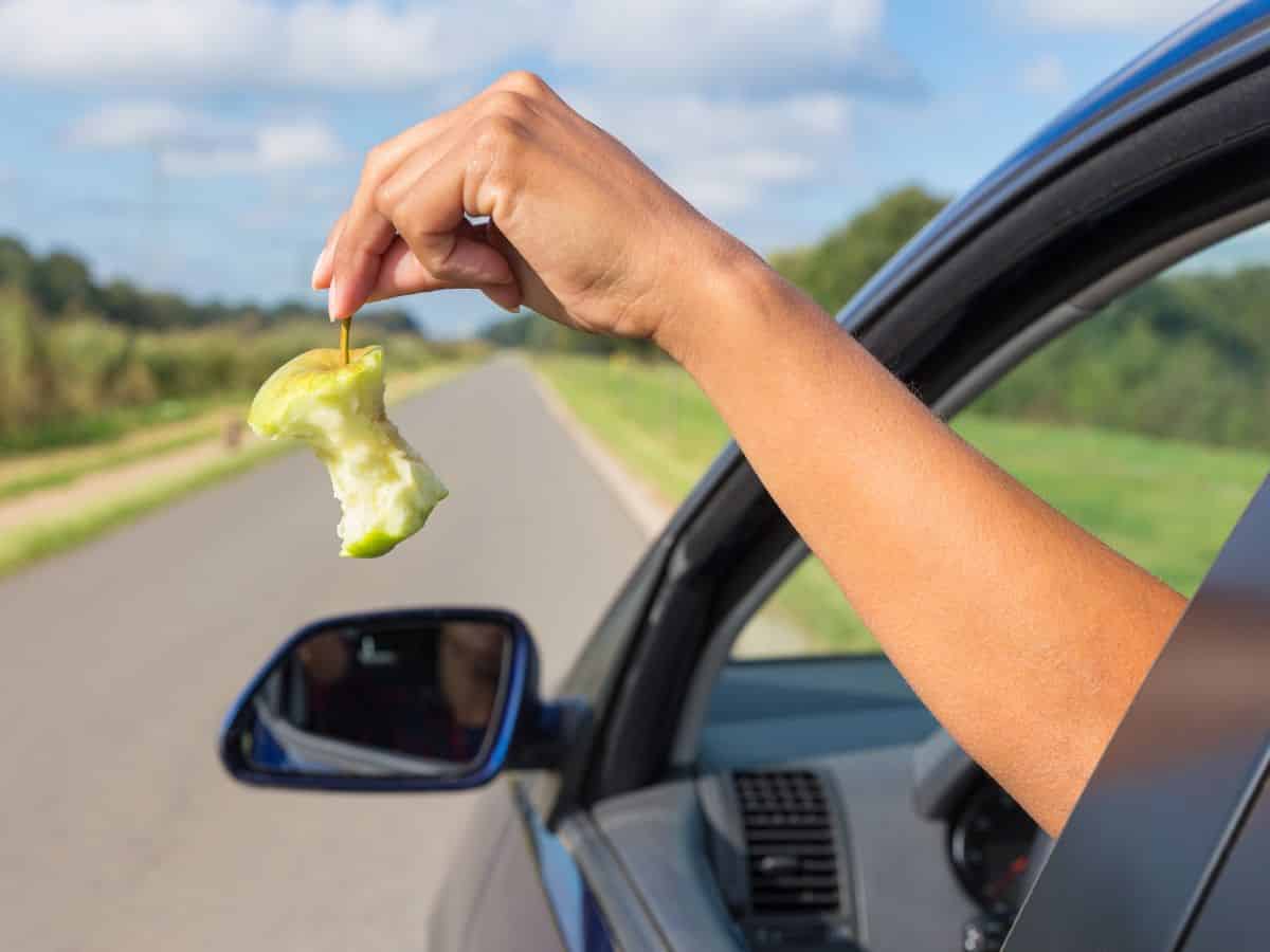 Woman Tossing Apple Core from Car
