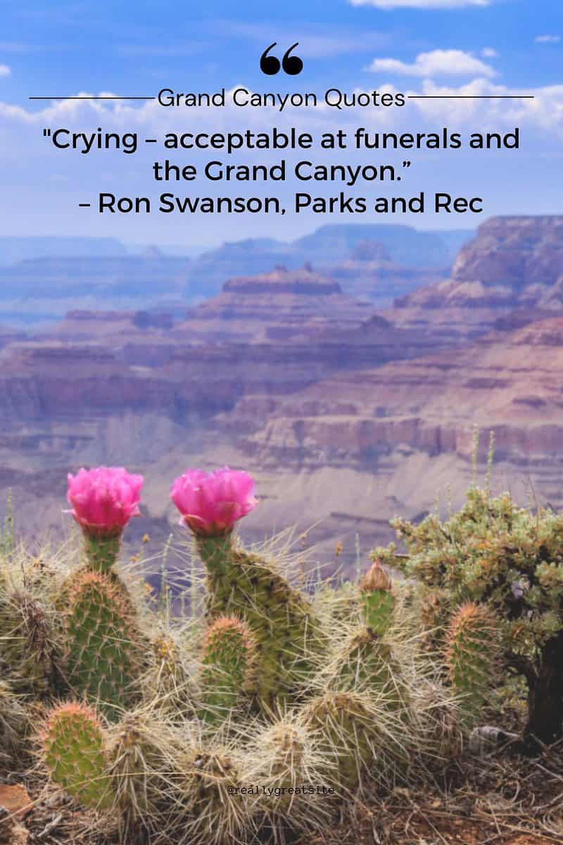 Ron Swanson quote about the Grand Canyon