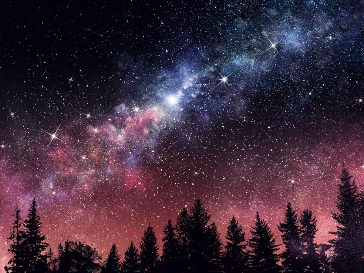 Milky Way and Stars above a forest scene