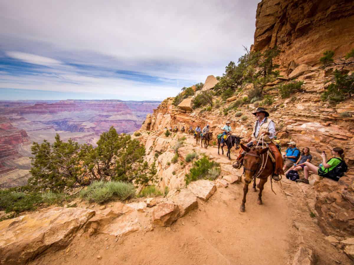 Visitors on Horseback at the Grand Canyon