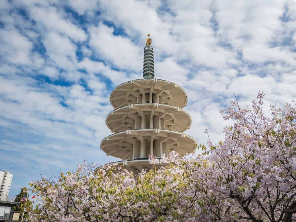 A tower in San Francisco's Japantown surrounded by cherry blossoms.
