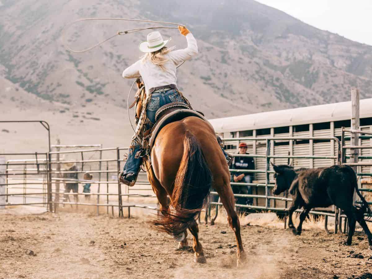 barrel racing quotes cowgirl