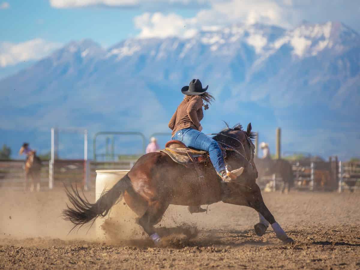 barrel racing quotes cowgirl