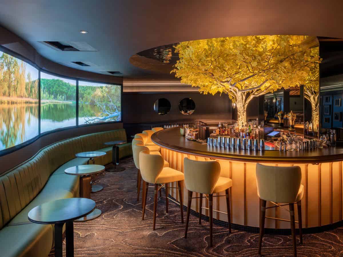 A yellow cottonwood tree in the center of the bar at the Kimpton Cottonwood in Omaha, NE