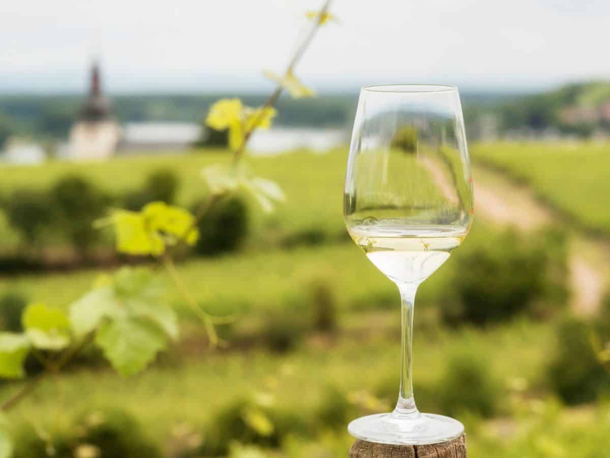 A wine glass sits on a wooden post in front of a vineyard, showcasing Germany's famous wine culture.