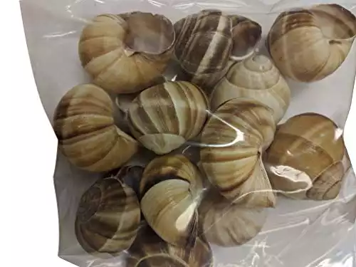 Premium Escargot Wild Burgundy Snails – Rated Number One – Best For Escargot Recipes, Various Sizes … (1 Dozen Shells)